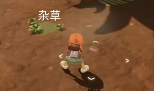 粒粒的小人国种田玩法详解