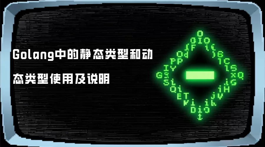 Golang中的静态类型和动态类型使用及说明