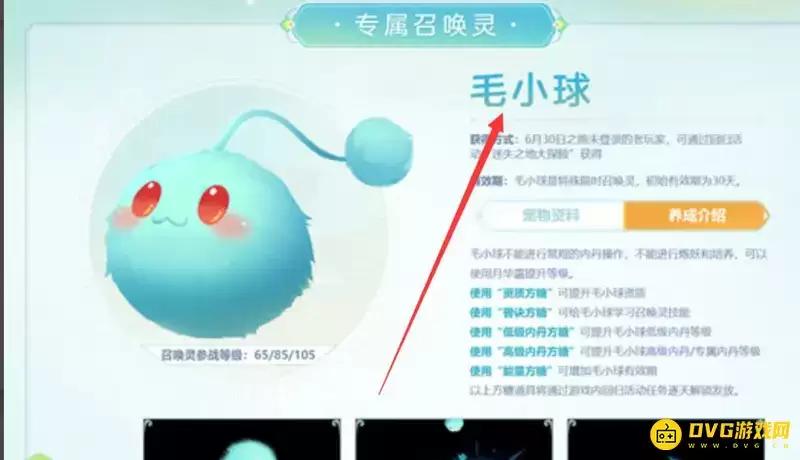 《梦幻西游》毛小球获取方式