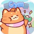 猫咪健身房