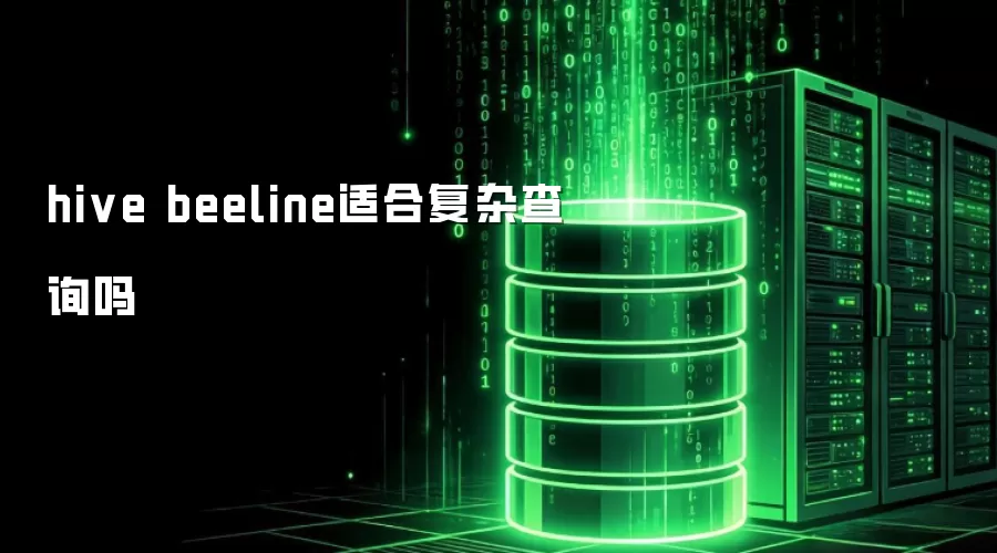 hive beeline适合复杂查询吗