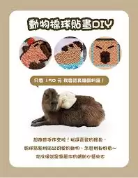 img_6a3f46bd2636730.webp