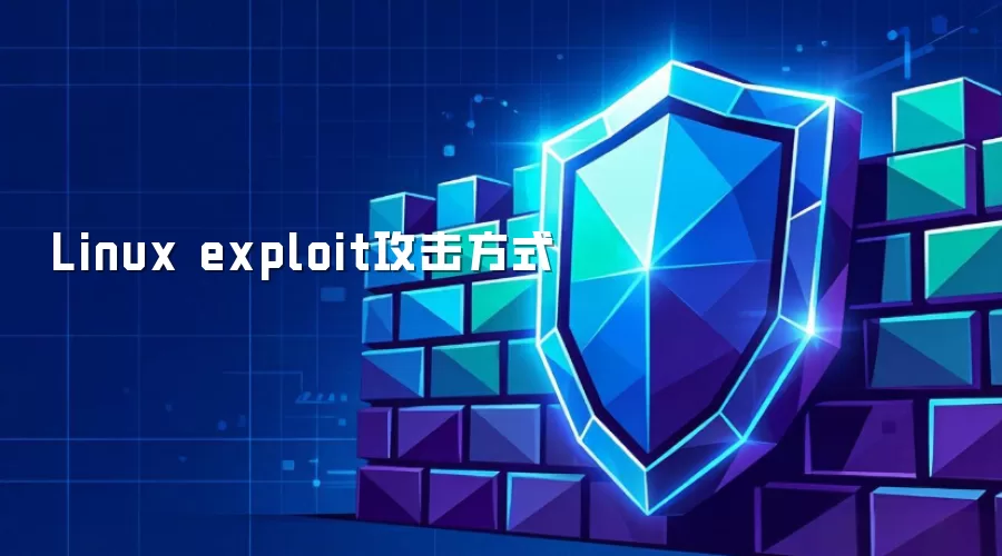 Linux exploit攻击方式