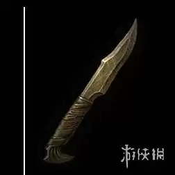 img_6a41f8bd26aaf314.webp