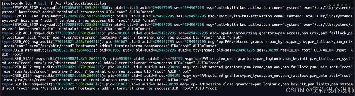 LinuxAudit系统配置全过程