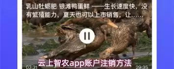 云上智农app如何注销账户