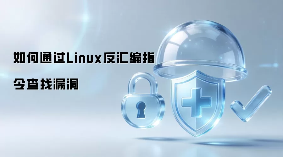 如何通过Linux反汇编指令查找漏洞
