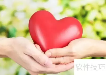 img_6a4492ce49f9331.webp
