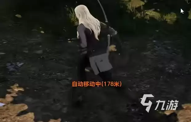 天堂2盟约骑士怎么玩 天堂2盟约骑士介绍