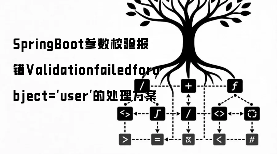 SpringBoot参数校验报错Validationfailedforobject=‘user‘的处理方案