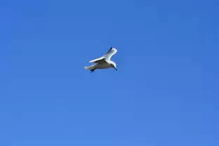 img_6a47758f20d9830.webp
