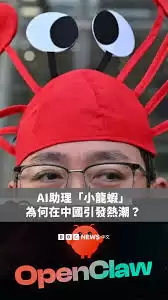 img_6a4891280fd4e31.webp