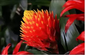 img_6a489caad490b30.webp