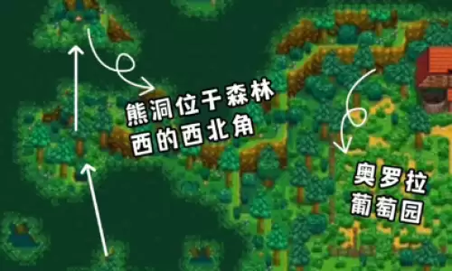 星露谷物语sve熊商店卖什么 熊商店出售物品一览 星露谷物语sve熊商店卖什么 熊商店出售物品一览