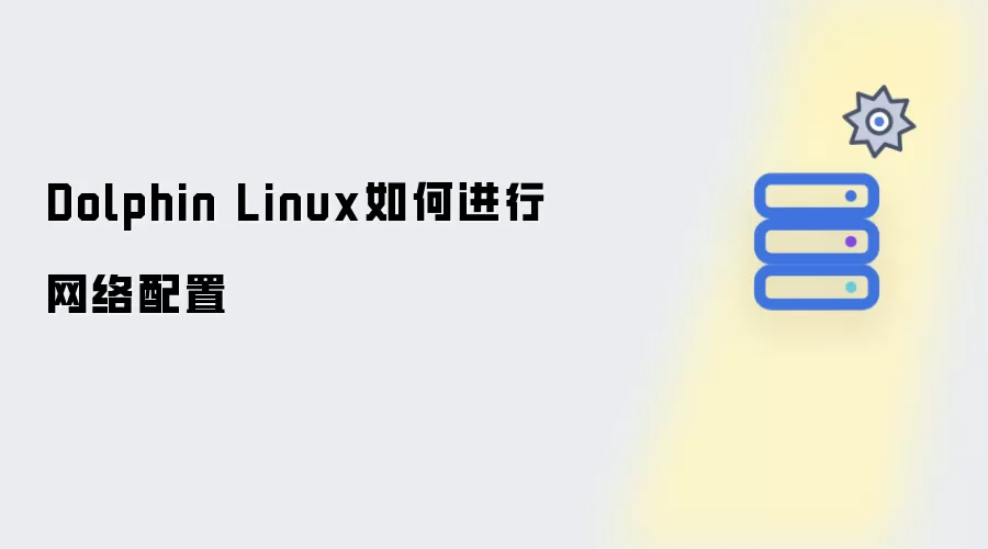 Dolphin Linux如何进行网络配置