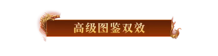 img_6a4a012d09ab335.webp