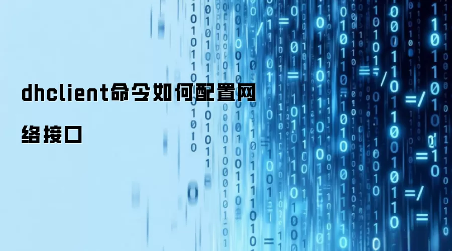 dhclient命令如何配置网络接口