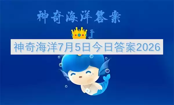 img_6a4b4505a602130.webp