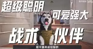 和平精英军犬布鲁斯怎么玩