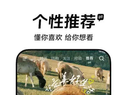 img_6a4c76b0915a334.webp