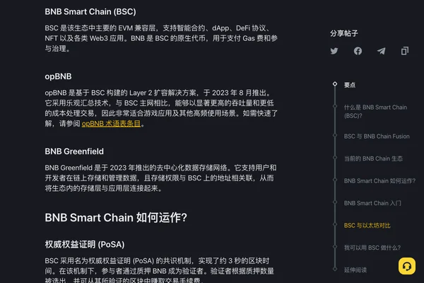 BNB Smart Chain 生态说明页面