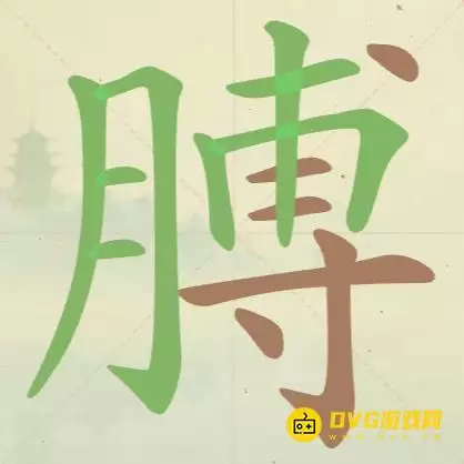 img_6a4c8eca1fc9e31.webp