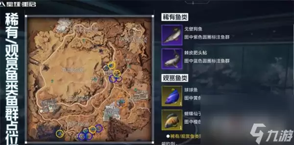 《星球重启》观赏鱼获得方法