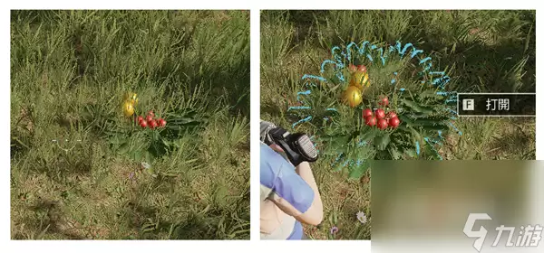 《星球重启》星雪节雪花和糖果位置介绍