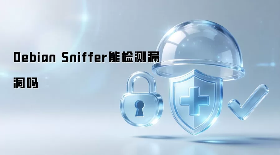 Debian Sniffer能检测漏洞吗