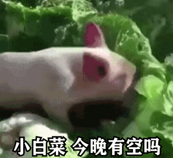 img_6a4e271e4252431.gif