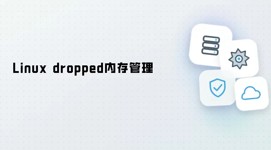 Linux dropped内存管理