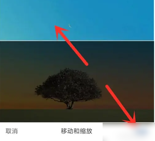 img_6a4f40121daec33.png