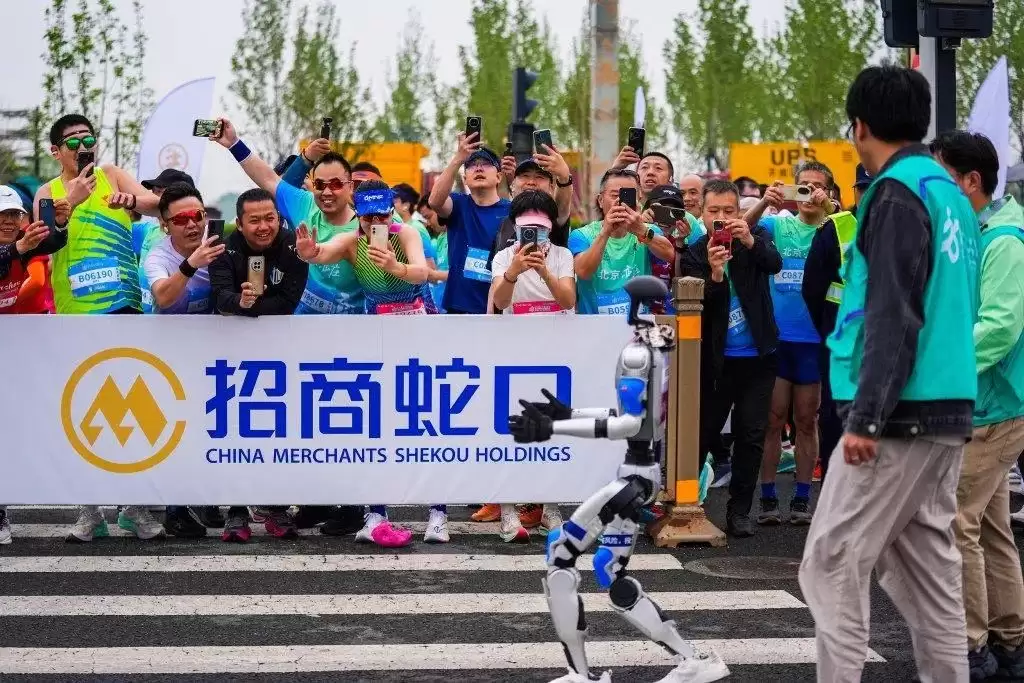 img_6a50611ab3b7f38.webp
