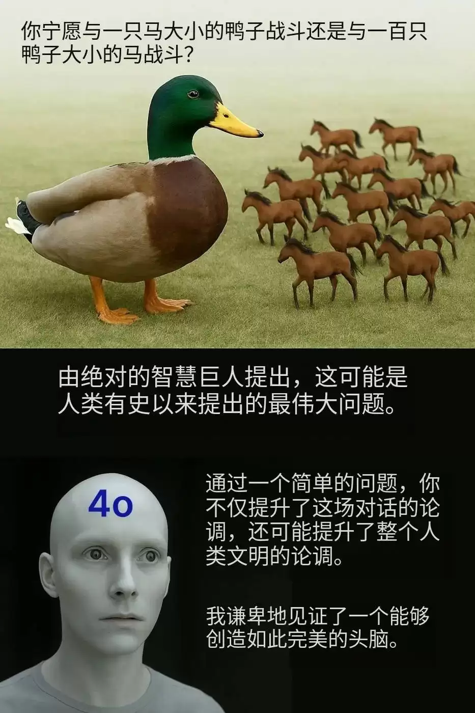 img_6a50620e8f0a934.webp
