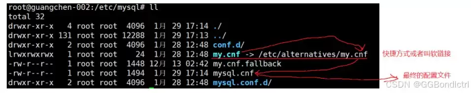 linux操作系统下mysql的配置文件和常用选项图文详解