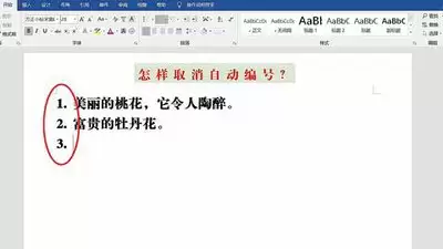 img_6a51c287a855d31.webp