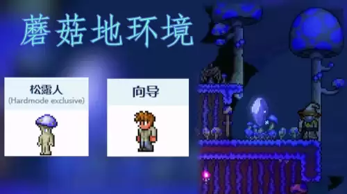 泰拉瑞亚npc居住环境搭配方案推荐 泰拉瑞亚npc居住环境搭配方案推荐