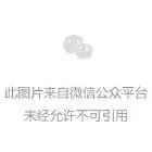 img_6a54295886ed732.webp
