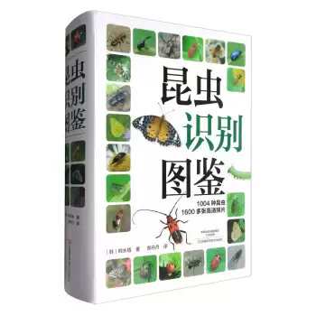 img_6a5484f3b5e8332.webp