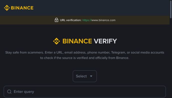 币安官方验证页显示 www.binance.com 和网址查询输入框