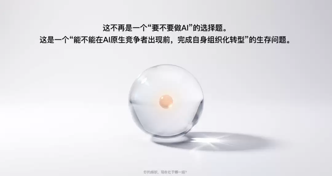 img_6a57682cc17cf312.webp