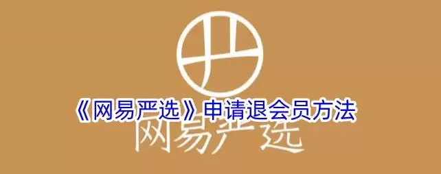 img_6a57840d7aae730.webp