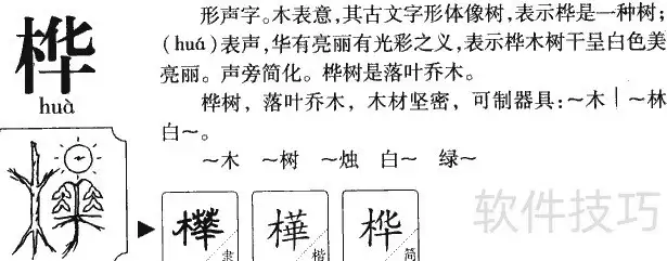 img_6a583664a0b4630.webp
