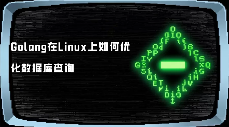 Golang在Linux上如何优化数据库查询