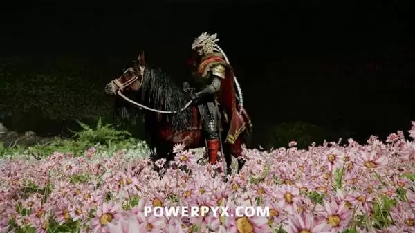 img_6a59e4082b2db33.webp