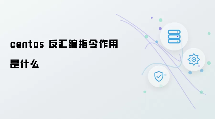 centos 反汇编指令作用是什么