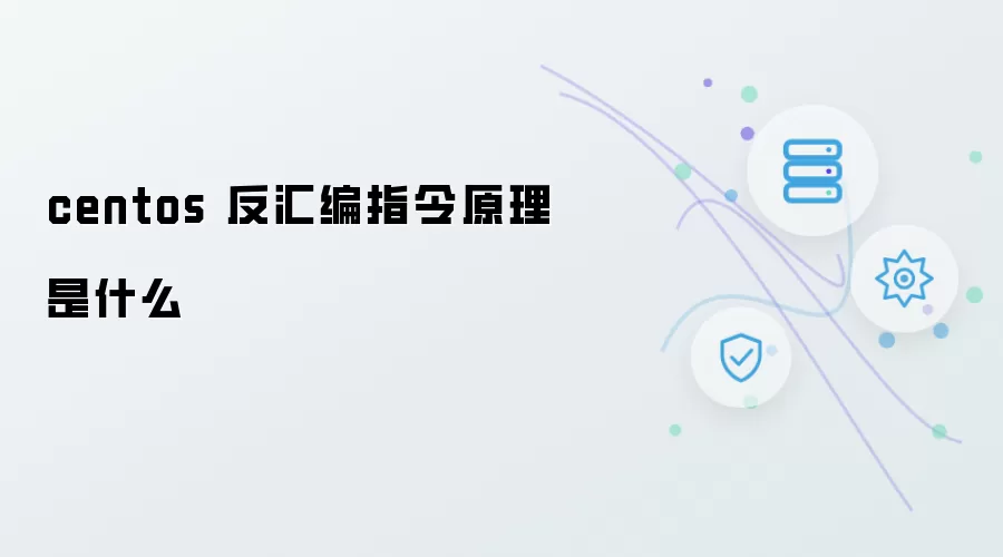 centos 反汇编指令原理是什么
