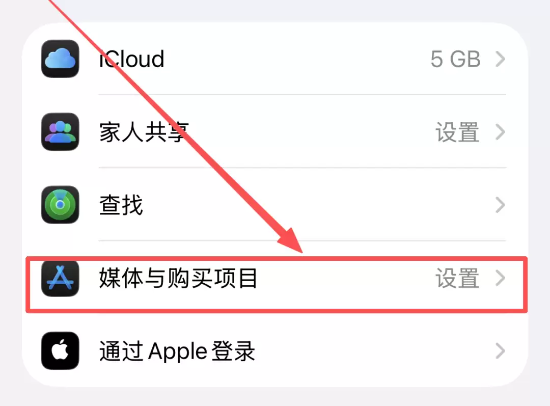 土耳其区 AppleID 开通 ChatGPT Plus 会员教程,低至80元