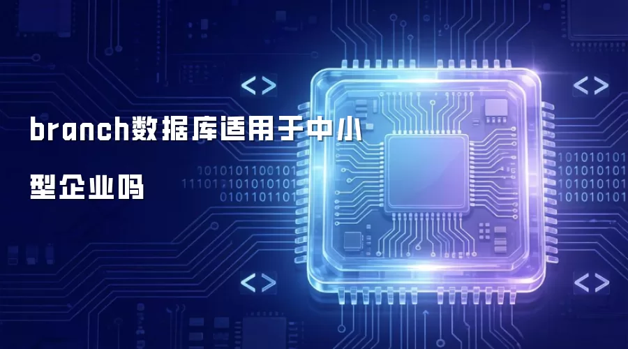 branch数据库适用于中小型企业吗