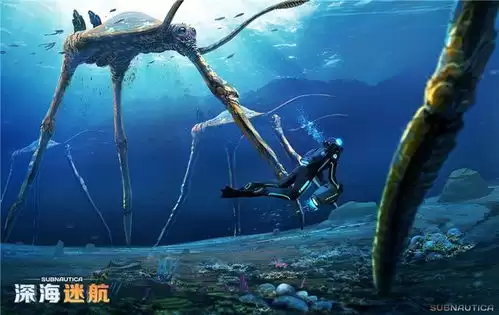 深海迷航2异星水域初始基地好用点位在哪